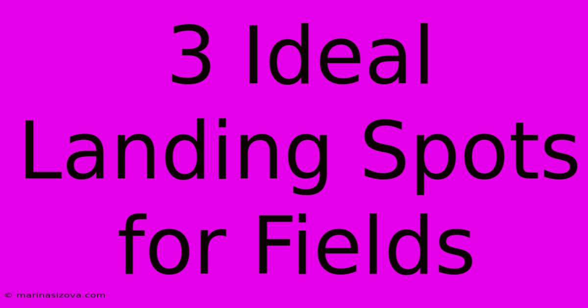 3 Ideal Landing Spots For Fields