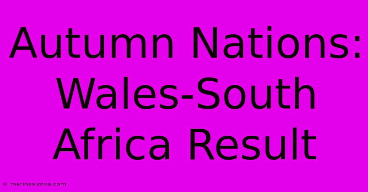 Autumn Nations: Wales-South Africa Result