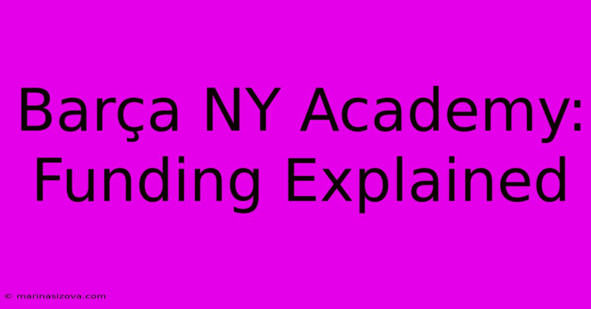 Barça NY Academy: Funding Explained