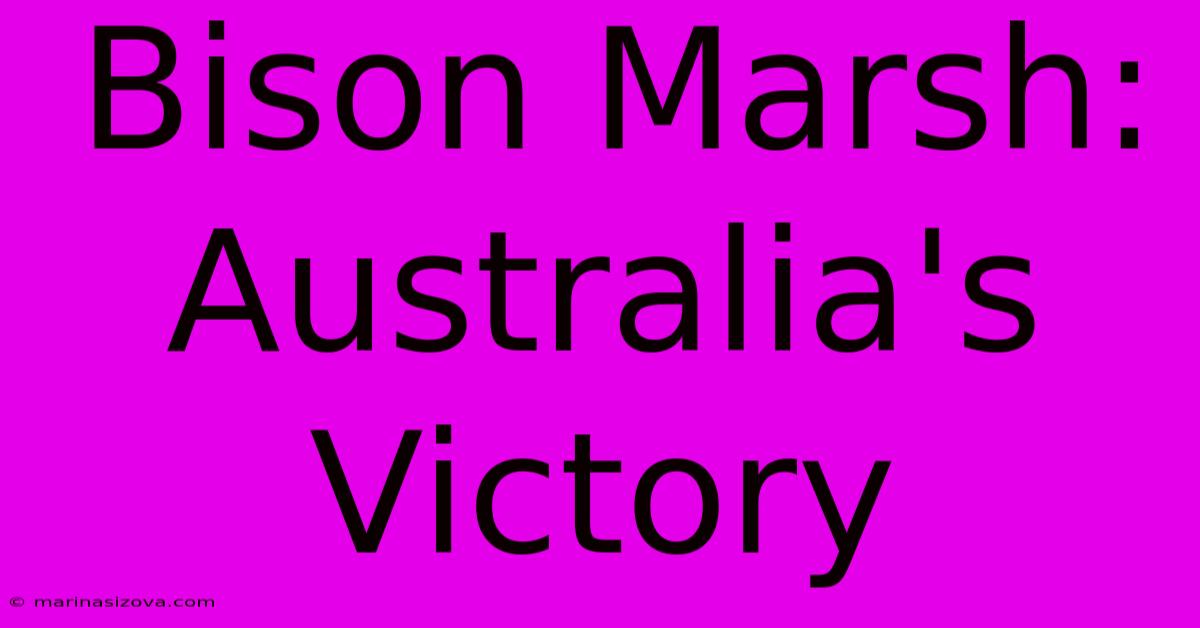 Bison Marsh: Australia's Victory