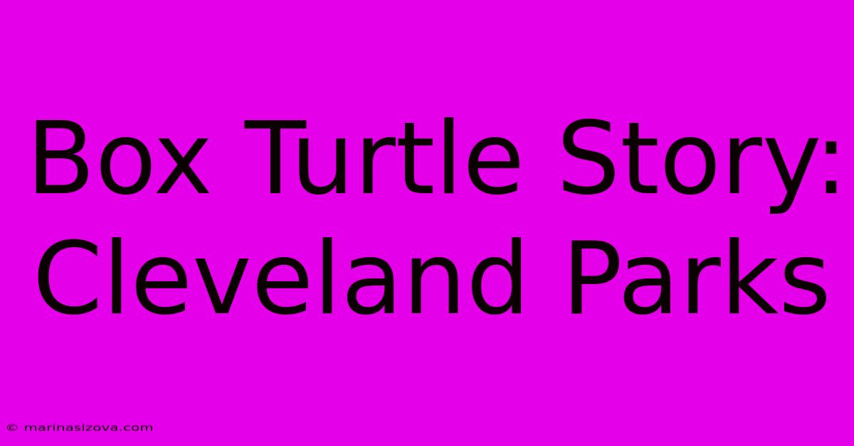 Box Turtle Story: Cleveland Parks