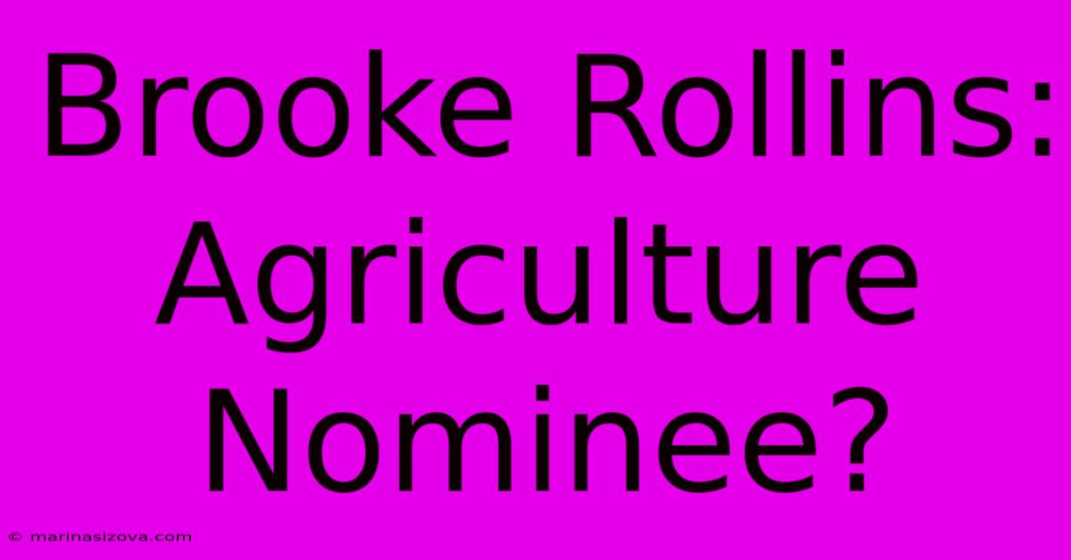 Brooke Rollins: Agriculture Nominee?