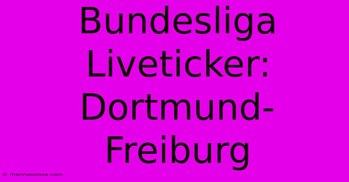 Bundesliga Liveticker: Dortmund-Freiburg