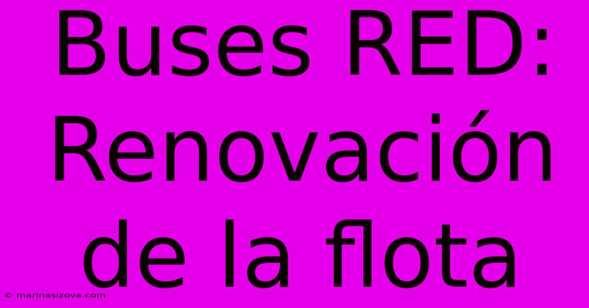 Buses RED: Renovación De La Flota