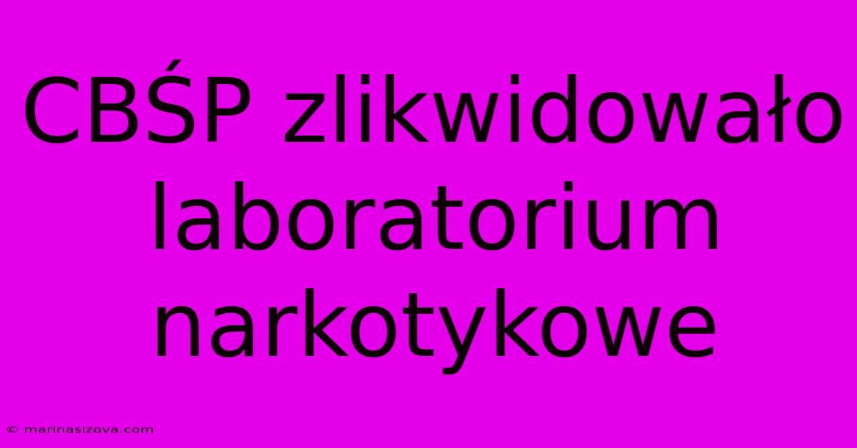 CBŚP Zlikwidowało Laboratorium Narkotykowe