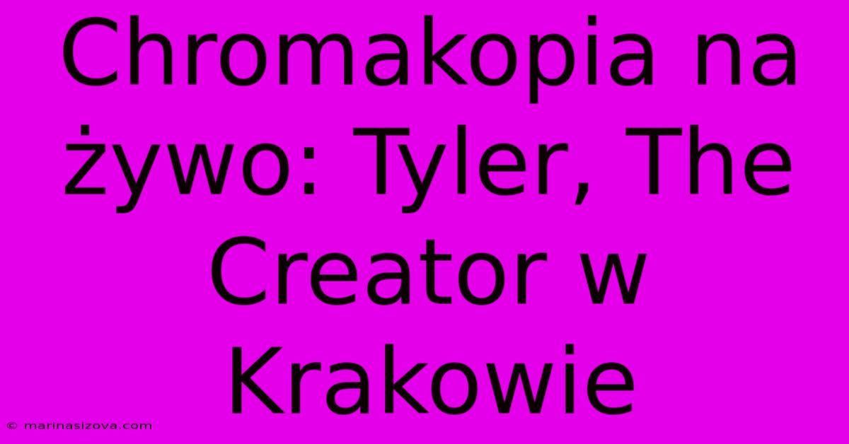 Chromakopia Na Żywo: Tyler, The Creator W Krakowie