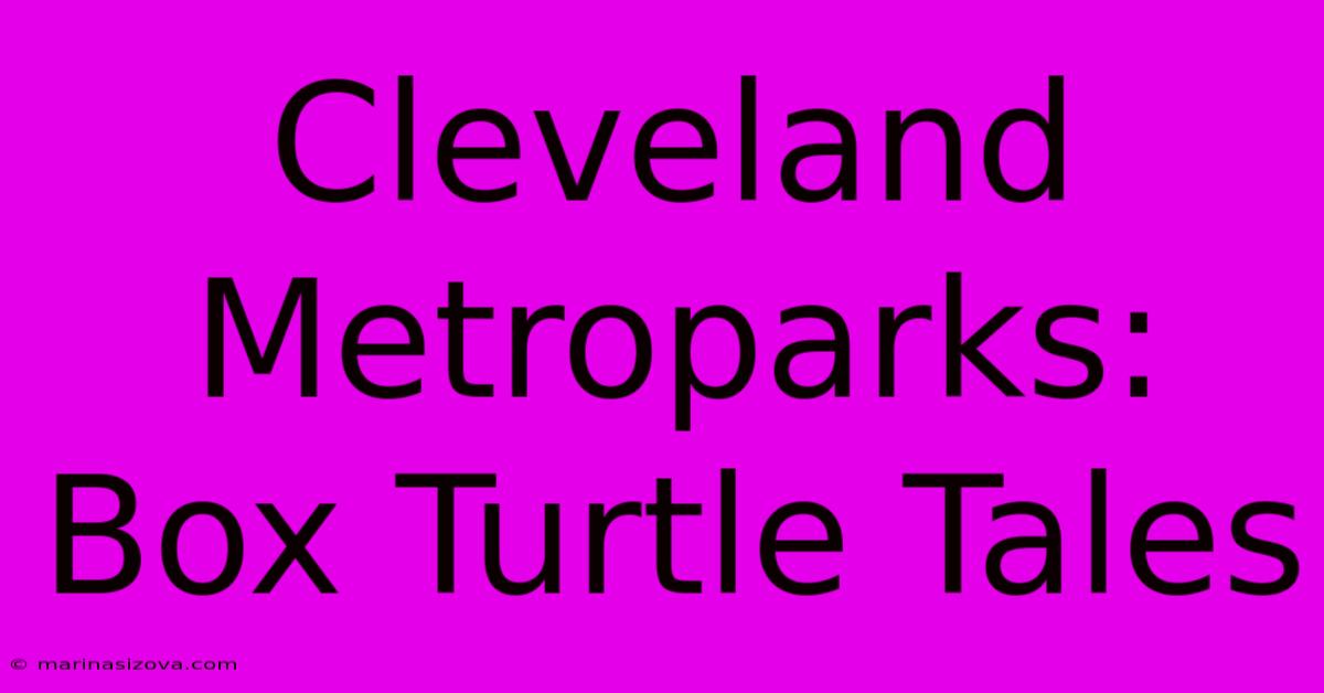 Cleveland Metroparks: Box Turtle Tales