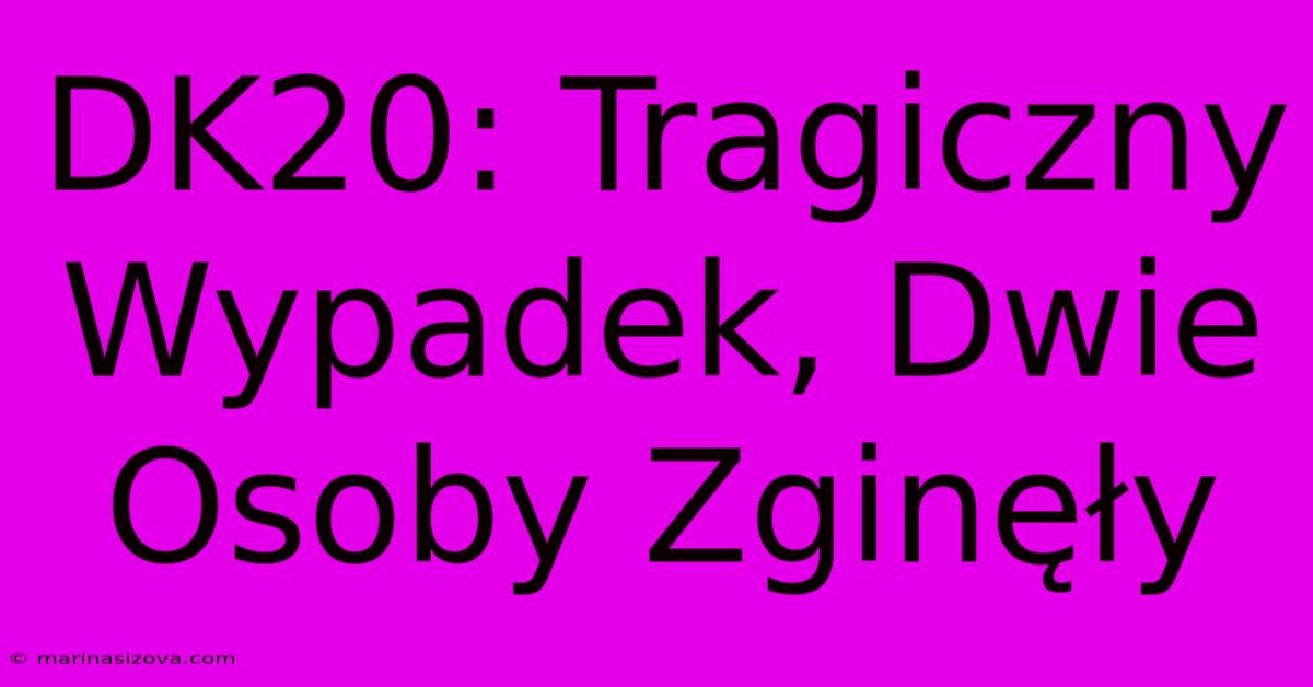 DK20: Tragiczny Wypadek, Dwie Osoby Zginęły 