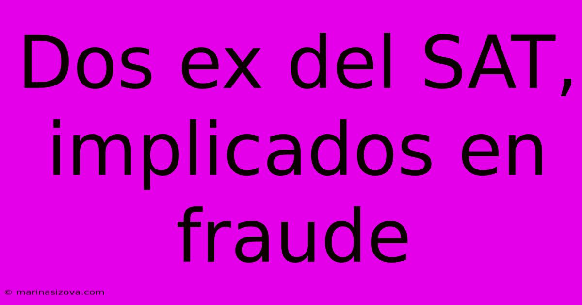 Dos Ex Del SAT, Implicados En Fraude