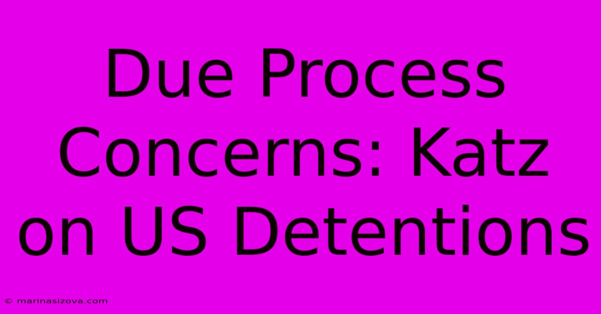 Due Process Concerns: Katz On US Detentions