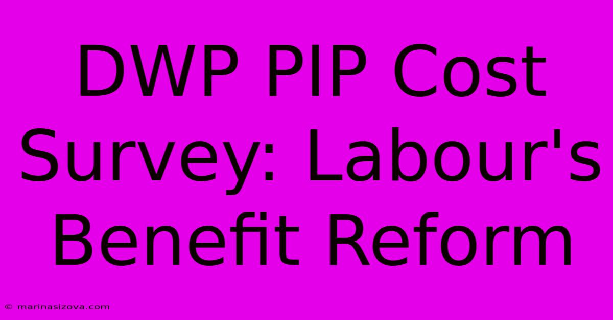 DWP PIP Cost Survey: Labour's Benefit Reform 