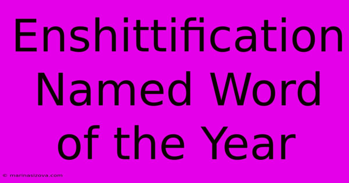 Enshittification Named Word Of The Year