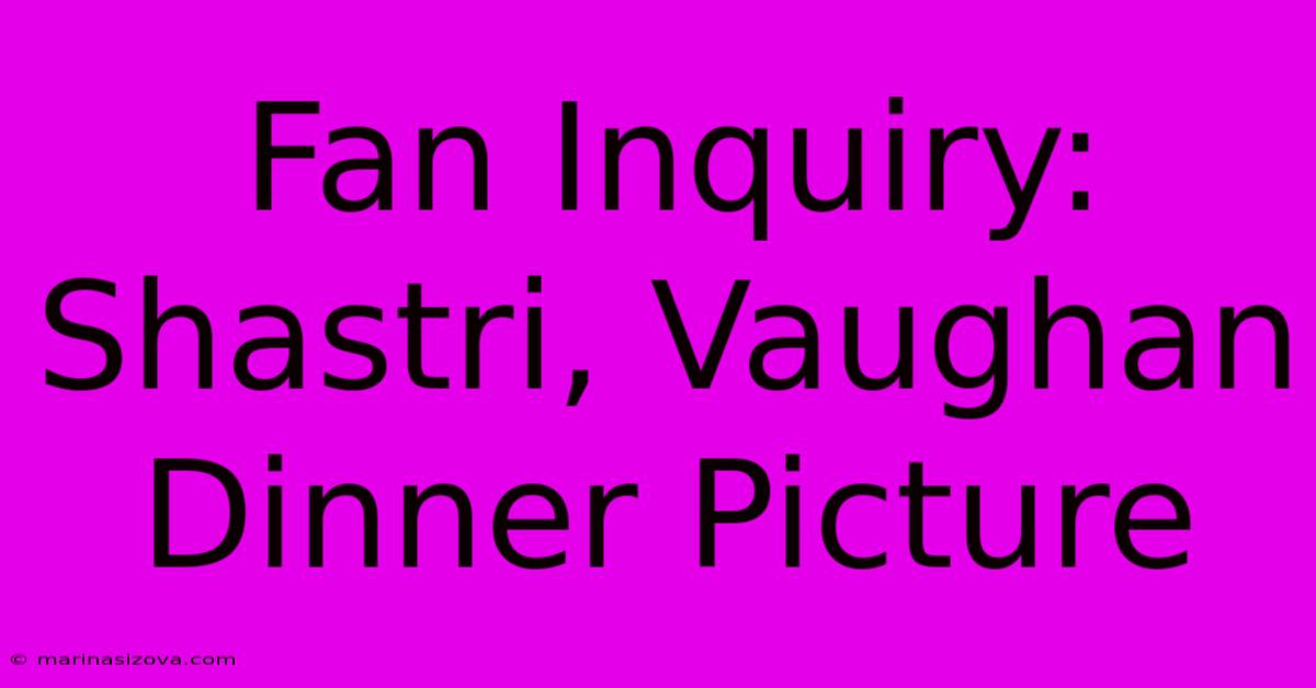 Fan Inquiry: Shastri, Vaughan Dinner Picture