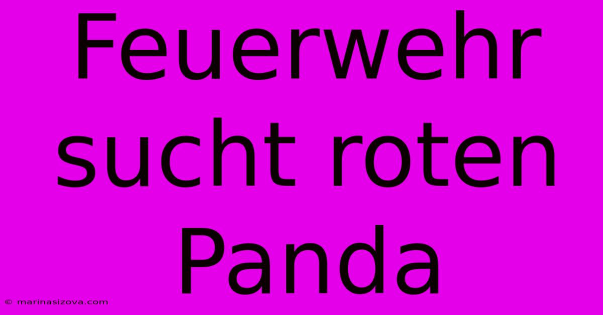 Feuerwehr Sucht Roten Panda