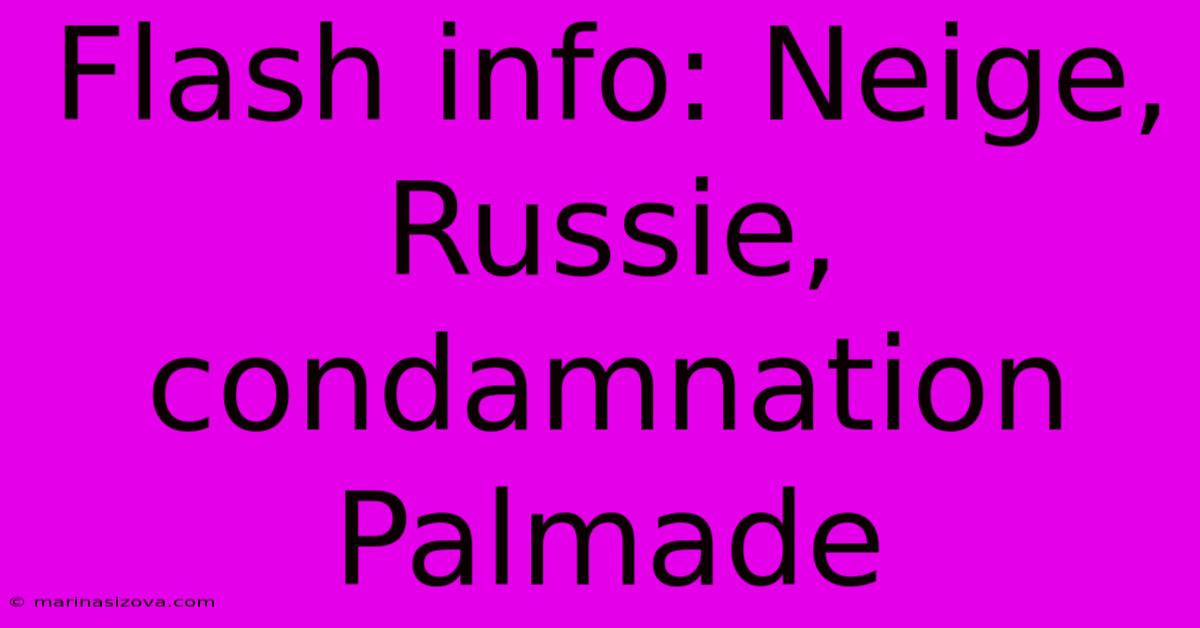 Flash Info: Neige, Russie, Condamnation Palmade