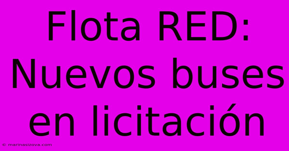 Flota RED: Nuevos Buses En Licitación