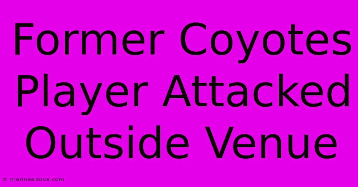 Former Coyotes Player Attacked Outside Venue