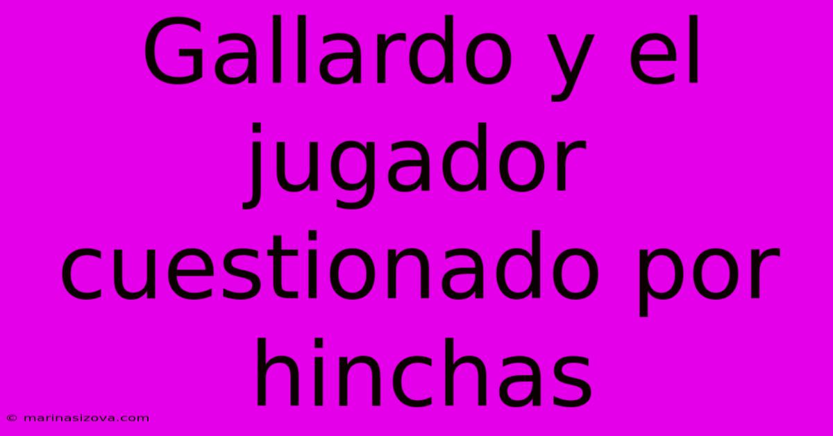 Gallardo Y El Jugador Cuestionado Por Hinchas