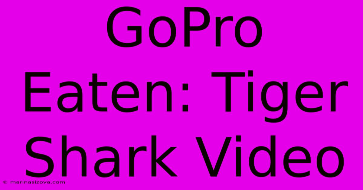 GoPro Eaten: Tiger Shark Video