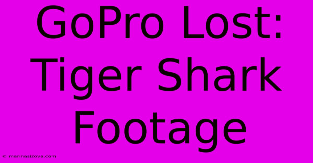 GoPro Lost: Tiger Shark Footage