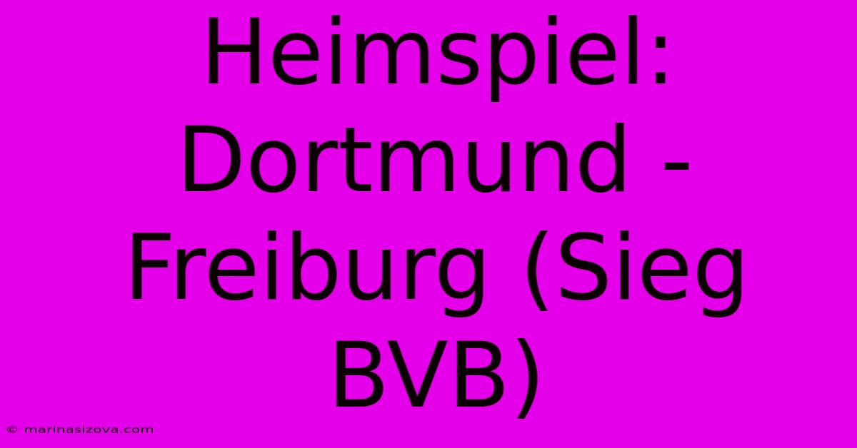 Heimspiel: Dortmund - Freiburg (Sieg BVB)