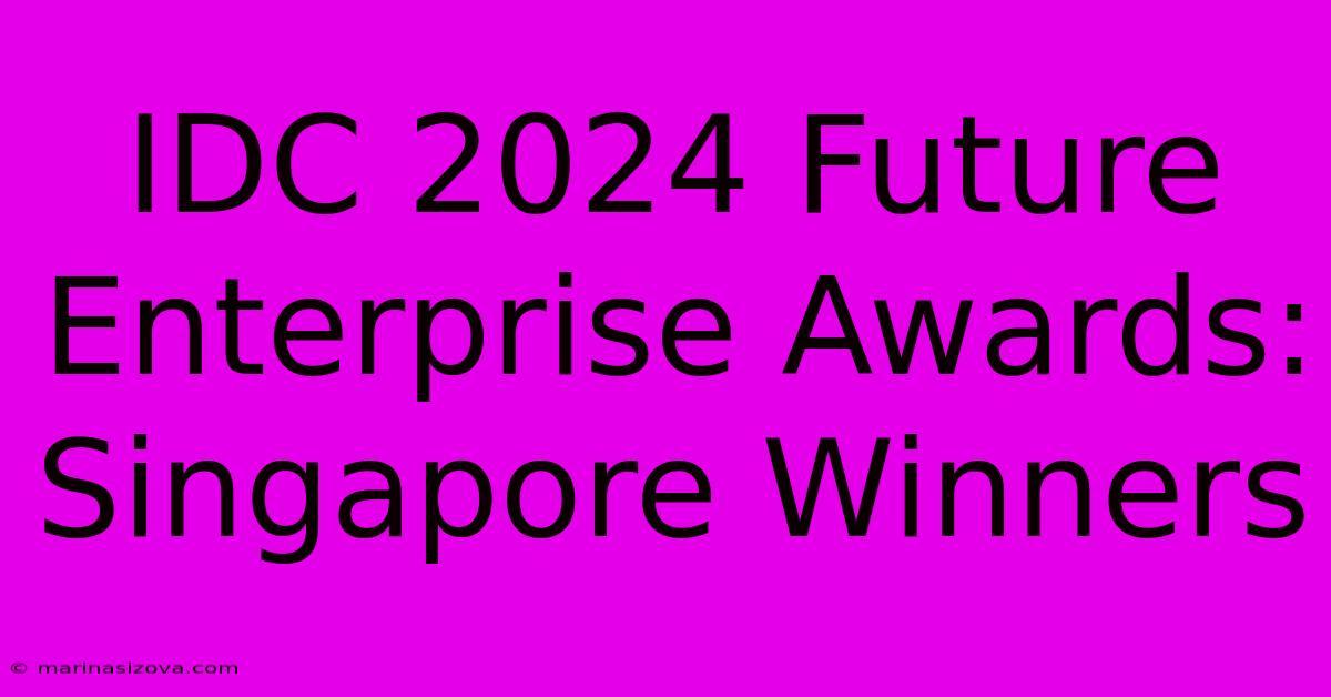 IDC 2024 Future Enterprise Awards: Singapore Winners