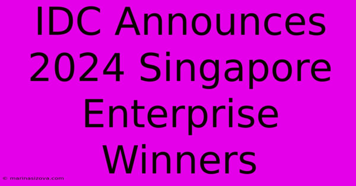 IDC Announces 2024 Singapore Enterprise Winners