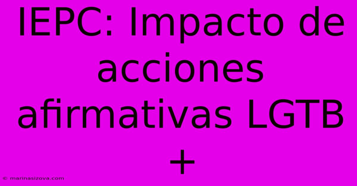 IEPC: Impacto De Acciones Afirmativas LGTB+