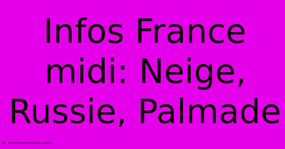 Infos France Midi: Neige, Russie, Palmade