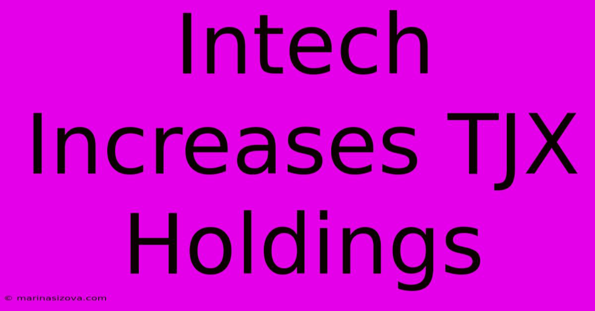 Intech Increases TJX Holdings