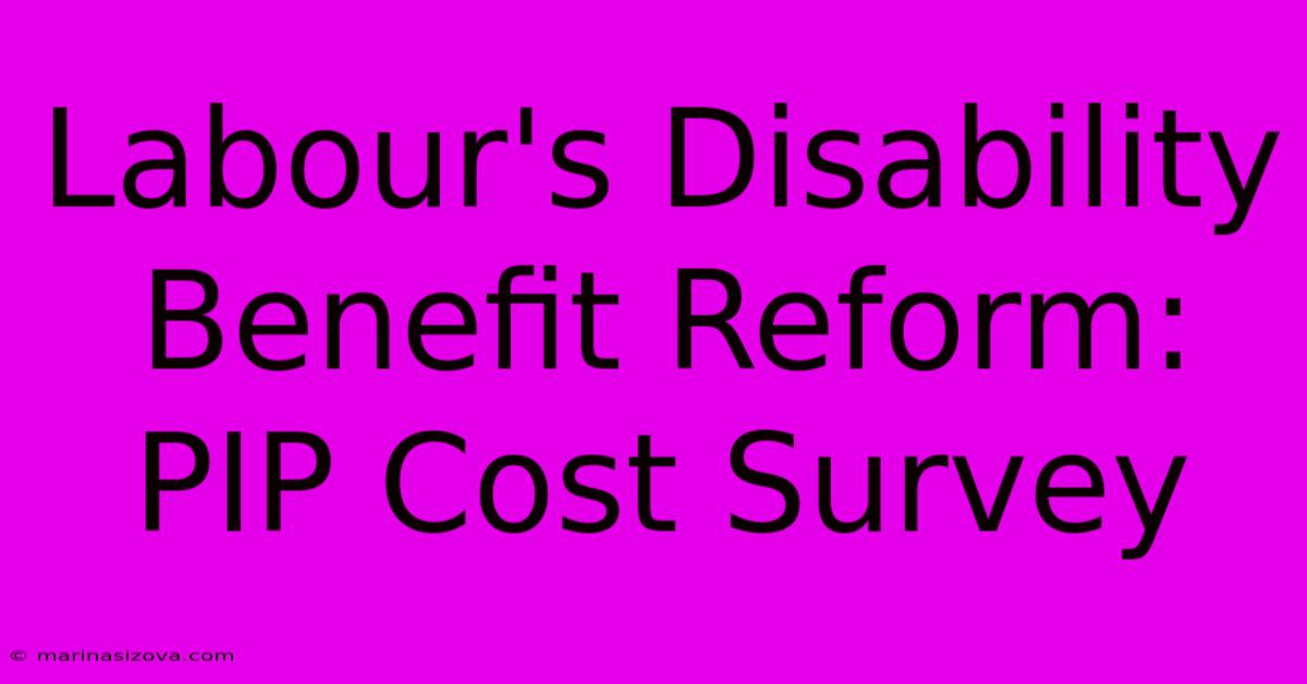 Labour's Disability Benefit Reform: PIP Cost Survey