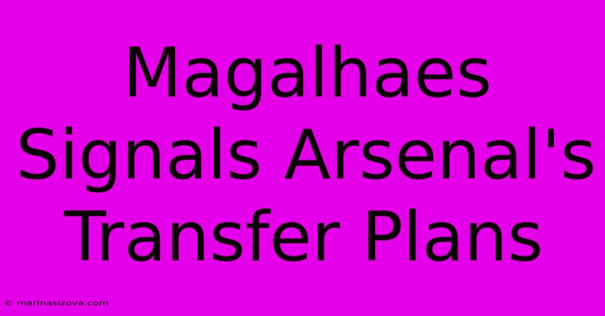 Magalhaes Signals Arsenal's Transfer Plans