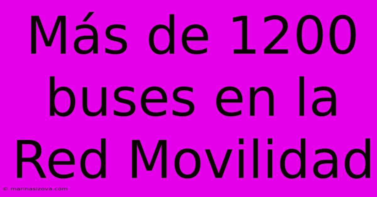 Más De 1200 Buses En La Red Movilidad