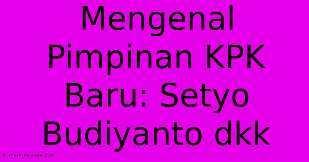 Mengenal Pimpinan KPK Baru: Setyo Budiyanto Dkk