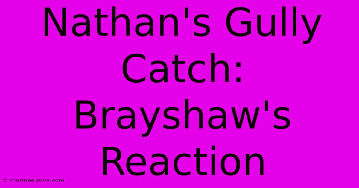 Nathan's Gully Catch: Brayshaw's Reaction