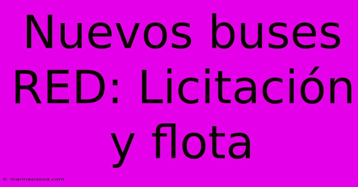 Nuevos Buses RED: Licitación Y Flota