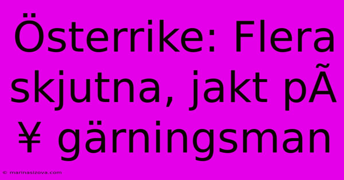 Österrike: Flera Skjutna, Jakt PÃ¥ Gärningsman