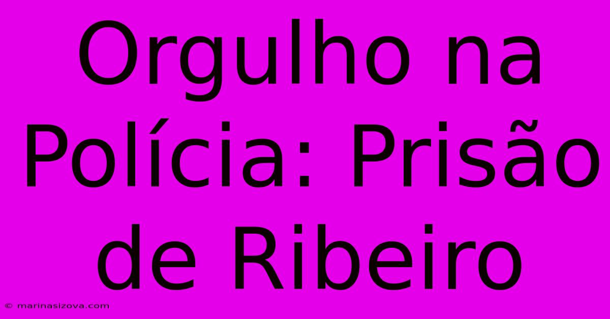 Orgulho Na Polícia: Prisão De Ribeiro