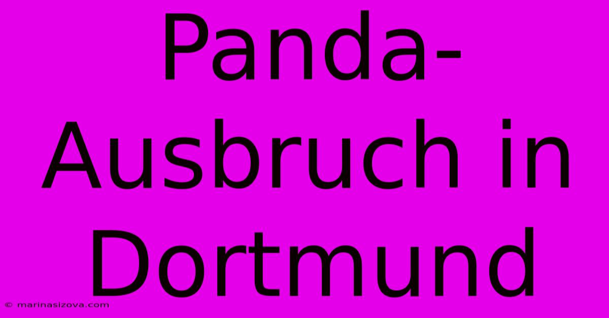 Panda-Ausbruch In Dortmund