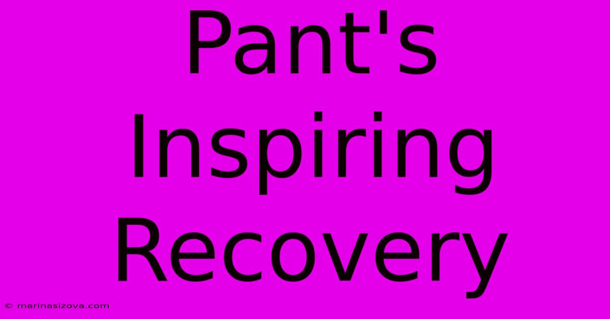 Pant's Inspiring Recovery