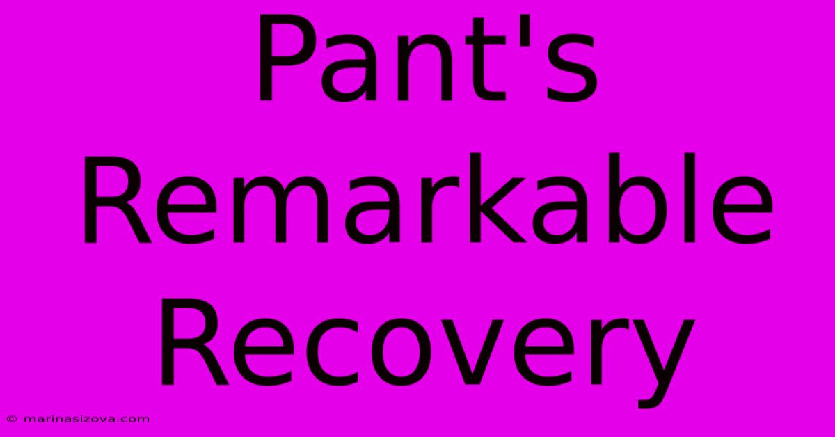 Pant's Remarkable Recovery