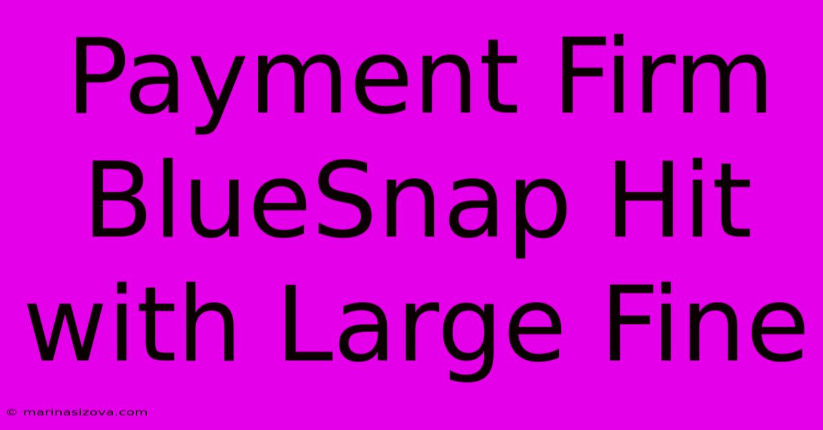 Payment Firm BlueSnap Hit With Large Fine