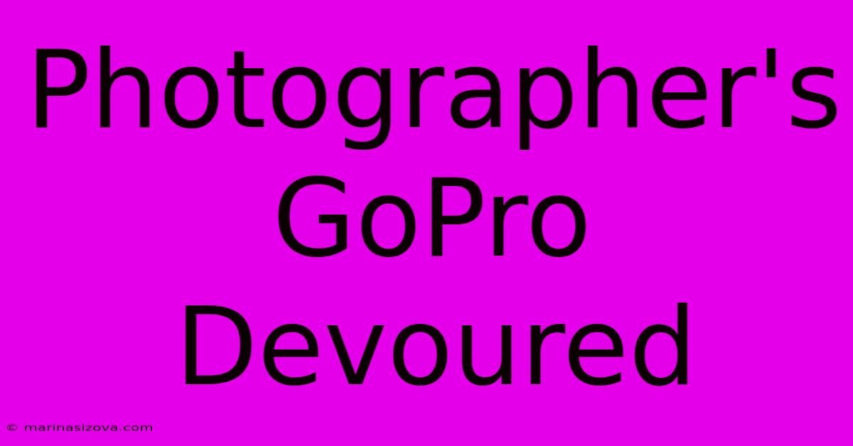 Photographer's GoPro Devoured