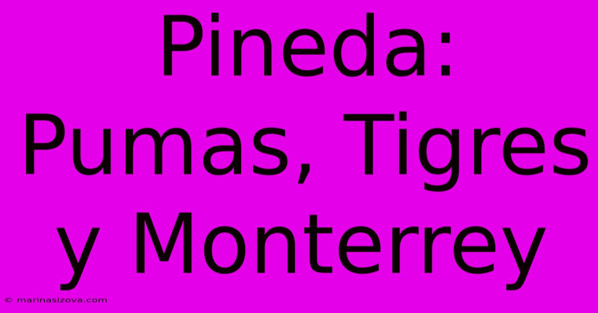 Pineda: Pumas, Tigres Y Monterrey