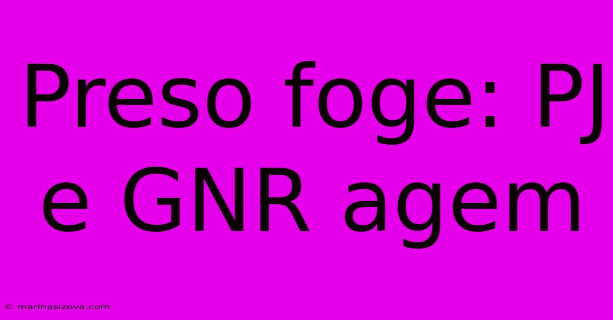 Preso Foge: PJ E GNR Agem