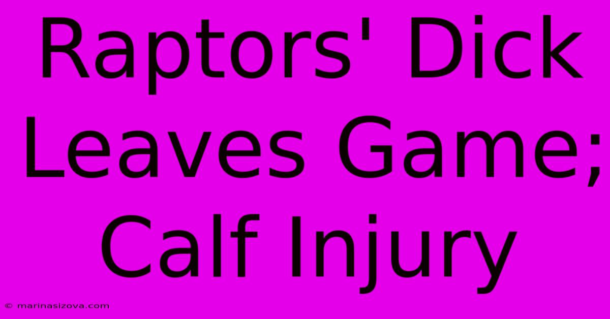 Raptors' Dick Leaves Game; Calf Injury