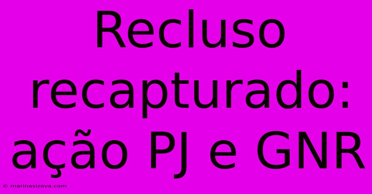 Recluso Recapturado: Ação PJ E GNR