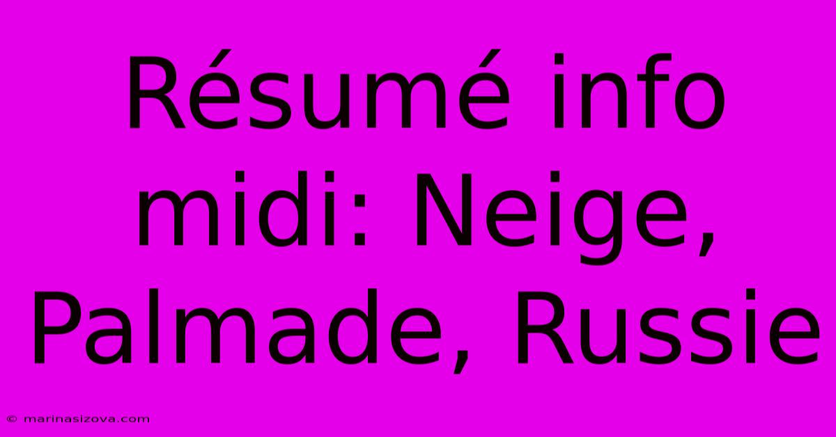 Résumé Info Midi: Neige, Palmade, Russie