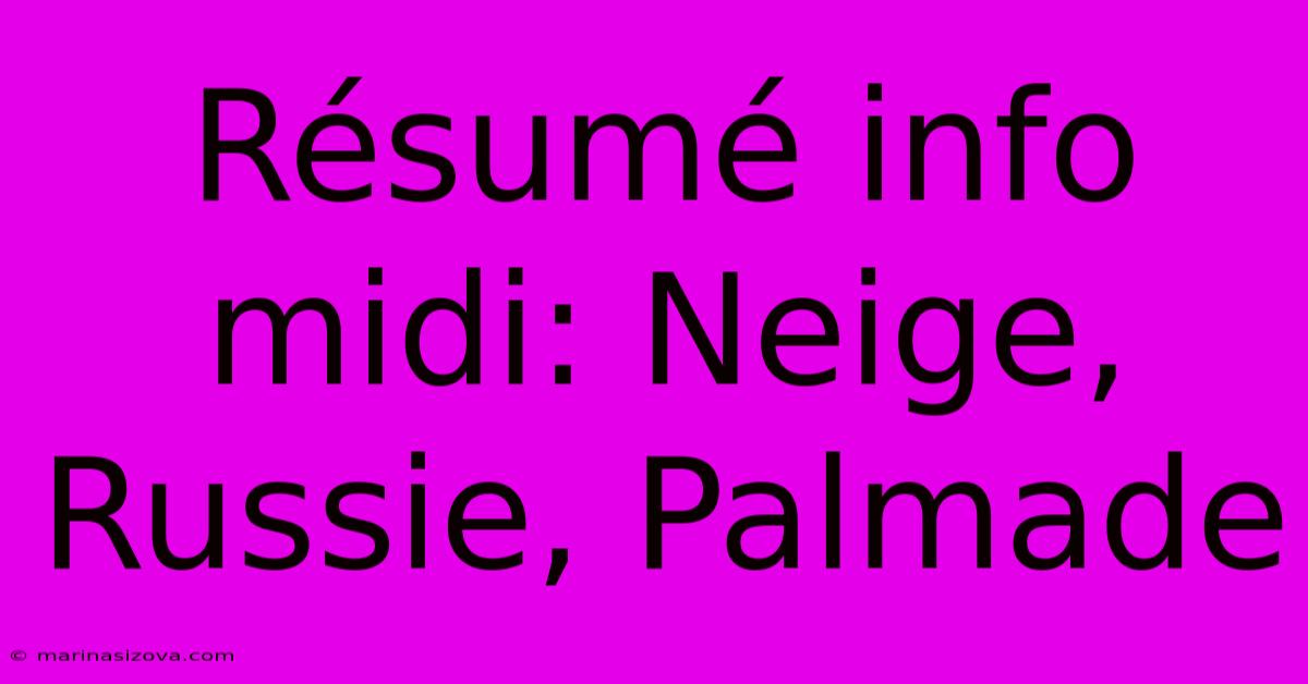 Résumé Info Midi: Neige, Russie, Palmade