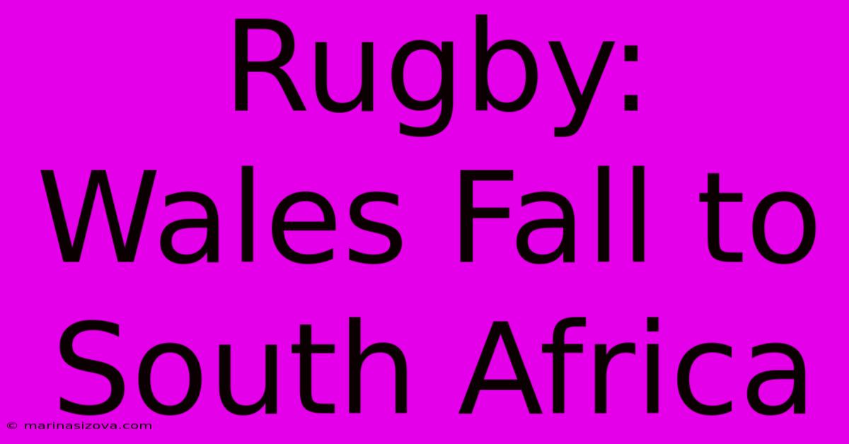 Rugby: Wales Fall To South Africa